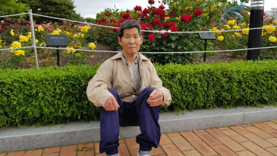 조선대 장미꽃 축제