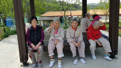 꿩도 보고 꽃도 보고~~산책