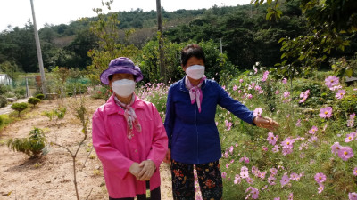 가을 하늘 바라보시며 마음의 여유를~