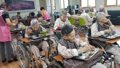 돼지고기수육&상추쌈