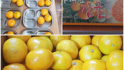 비타민 듬뿍^^귤드시고 종이컵쌓기 하셨습니다.