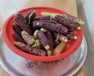 맛있는 간식~ 찰옥수수