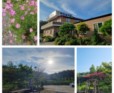 시원한 가을 바람에 덕인산책로에 산책을 다녀오셨습니다.
