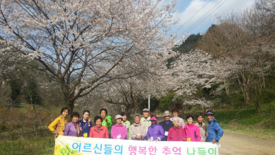 불회사로 어르신들 모시고 꽃구경.