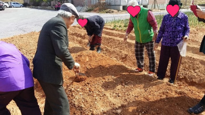 텃밭가꾸기