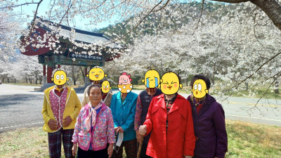 벚꽃구경